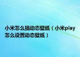 小米怎么搞動(dòng)態(tài)壁紙（小米play怎么設(shè)置動(dòng)態(tài)壁紙）