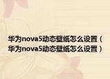 華為nova5動(dòng)態(tài)壁紙?jiān)趺丛O(shè)置（華為nova5動(dòng)態(tài)壁紙?jiān)趺丛O(shè)置）