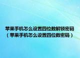 蘋果手機(jī)怎么設(shè)置四位數(shù)解鎖密碼（蘋果手機(jī)怎么設(shè)置四位數(shù)密碼）
