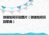 微信如何識別圖片（微信如何識別歌曲）