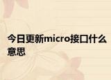今日更新micro接口什么意思
