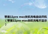 蘋果11pro max關機充電自動開機（蘋果11pro max關機充電不顯示）