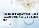 opporeno手機(jī)開(kāi)發(fā)者選項(xiàng)（oppo reno如何適配 Android Q beta系統(tǒng)）