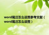 word尾注怎么設(shè)置參考文獻(xiàn)（word尾注怎么設(shè)置）