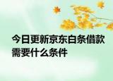 今日更新京東白條借款需要什么條件