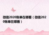 微信2020賬單在哪看（微信2020賬單在哪看）
