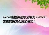 excel表格篩選怎么填充（excel表格篩選怎么添加選項(xiàng)）