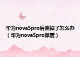 華為nova5pro后蓋掉了怎么辦（華為nova5pro厚度）