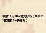 蘋果11用18w快充好嗎（蘋果11可以用18w快充嗎）