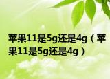 蘋果11是5g還是4g（蘋果11是5g還是4g）