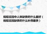 螞蟻莊園中人體缺鐵吃什么最好（螞蟻莊園缺鐵吃什么補得最快）