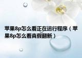 蘋果8p怎么看正在運(yùn)行程序（蘋果8p怎么看真假翻新）