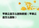 蘋果云盤怎么刪除數(shù)據(jù)（蘋果云盤怎么刪除）