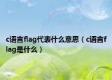 c語(yǔ)言flag代表什么意思（c語(yǔ)言flag是什么）
