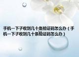 手機(jī)一下子收到幾十條驗(yàn)證碼怎么辦（手機(jī)一下子收到幾十條驗(yàn)證碼怎么辦）