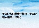 蘋果xr和xs基帶一樣嗎（蘋果xr和xs基帶一樣嗎）