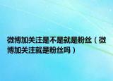 微博加關(guān)注是不是就是粉絲（微博加關(guān)注就是粉絲嗎）