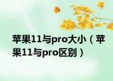蘋果11與pro大小（蘋果11與pro區(qū)別）