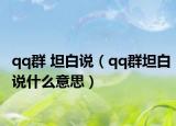 qq群 坦白說（qq群坦白說什么意思）