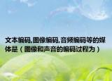 文本編碼,圖像編碼,音頻編碼等的媒體是（圖像和聲音的編碼過程為）