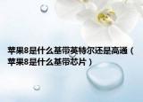 蘋果8是什么基帶英特爾還是高通（蘋果8是什么基帶芯片）