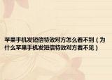 蘋果手機(jī)發(fā)短信特效對(duì)方怎么看不到（為什么蘋果手機(jī)發(fā)短信特效對(duì)方看不見(jiàn)）