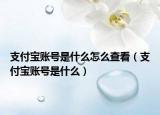 支付寶賬號(hào)是什么怎么查看（支付寶賬號(hào)是什么）