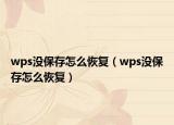 wps沒保存怎么恢復(fù)（wps沒保存怎么恢復(fù)）