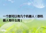 一個群可以有幾個機(jī)器人（群機(jī)器人有什么用）