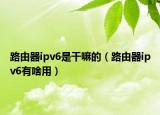 路由器ipv6是干嘛的（路由器ipv6有啥用）