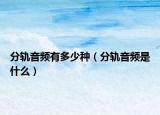 分軌音頻有多少種（分軌音頻是什么）