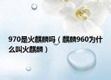 970是火麒麟嗎（麒麟960為什么叫火麒麟）