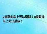 u盤(pán)歌曲車(chē)上無(wú)法識(shí)別（u盤(pán)歌曲車(chē)上無(wú)法播放）