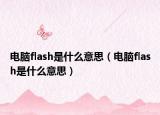 電腦flash是什么意思（電腦flash是什么意思）