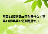 蘋果11跟蘋果xr區(qū)別是什么（蘋果11跟蘋果Xr區(qū)別是什么）