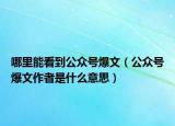 哪里能看到公眾號(hào)爆文（公眾號(hào)爆文作者是什么意思）