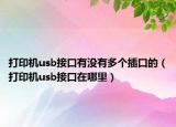 打印機(jī)usb接口有沒有多個插口的（打印機(jī)usb接口在哪里）