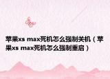 蘋果xs max死機(jī)怎么強(qiáng)制關(guān)機(jī)（蘋果xs max死機(jī)怎么強(qiáng)制重啟）
