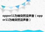 oppor11為啥突然沒聲音（oppor11為啥突然沒聲音）