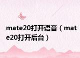 mate20打開(kāi)語(yǔ)音（mate20打開(kāi)后臺(tái)）