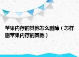 蘋果內(nèi)存的其他怎么刪除（怎樣刪蘋果內(nèi)存的其他）