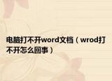 電腦打不開word文檔（wrod打不開怎么回事）
