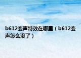b612變聲特效在哪里（b612變聲怎么沒了）