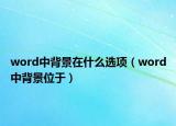 word中背景在什么選項（word中背景位于）