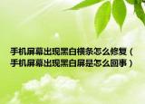 手機(jī)屏幕出現(xiàn)黑白橫條怎么修復(fù)（手機(jī)屏幕出現(xiàn)黑白屏是怎么回事）