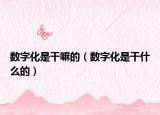 數(shù)字化是干嘛的（數(shù)字化是干什么的）