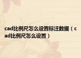 cad比例尺怎么設(shè)置標(biāo)注數(shù)據(jù)（cad比例尺怎么設(shè)置）