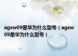 agsw09是華為什么型號(hào)（agsw09是華為什么型號(hào)）