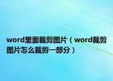 word里面裁剪圖片（word裁剪圖片怎么裁剪一部分）