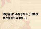 儲存容量1kb等于多少（計(jì)算機(jī)儲存容量中1kb等于）